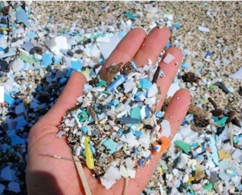 Plastico en descomposición